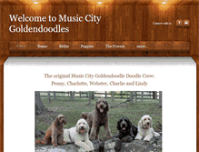 Tablet Screenshot of musiccitygoldendoodles.com